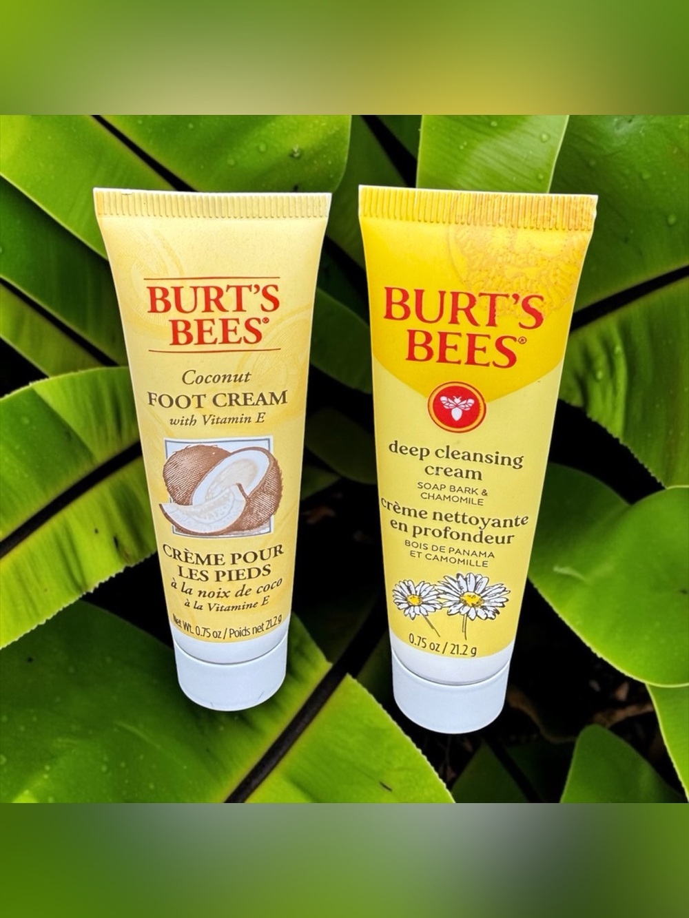 🏷️‼️5/$25🏷️‼️🐝BURT’S BEES🐝Coconut Foot Cream & Deep Cleansing Cream Duo/NIP